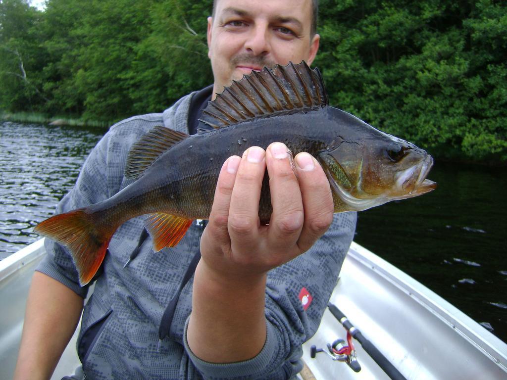 Wismens Natur&Fiske Krogsered Eksteriør bilde