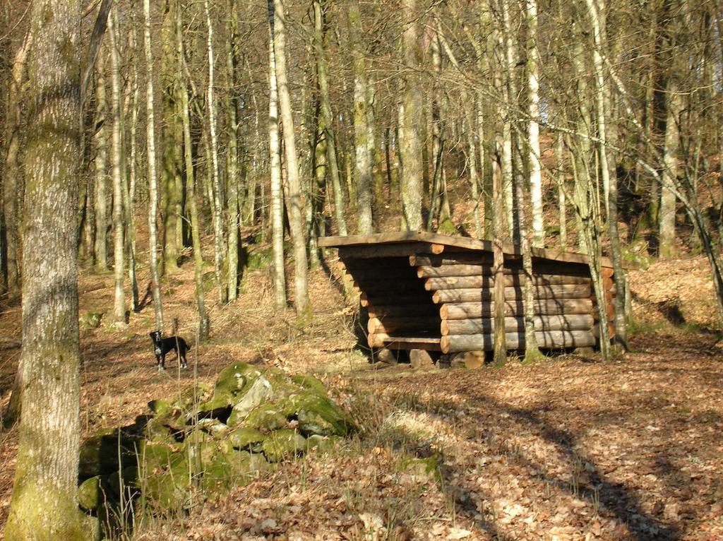 Wismens Natur&Fiske Krogsered Eksteriør bilde