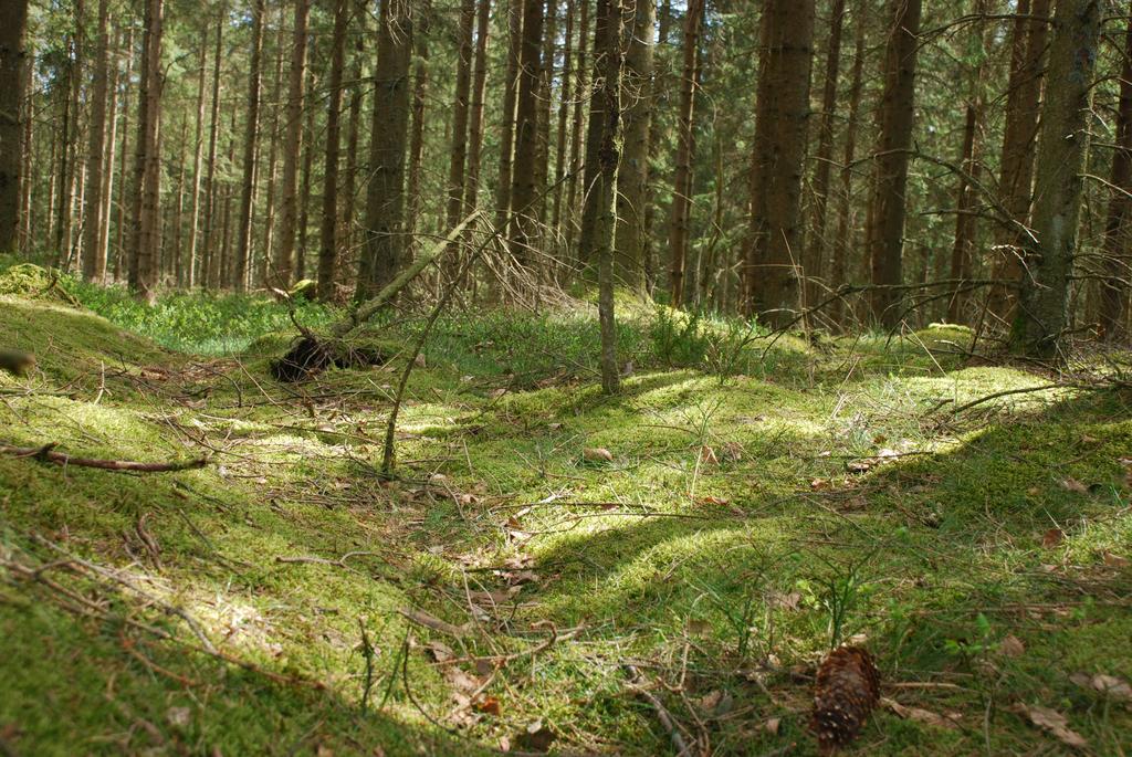 Wismens Natur&Fiske Krogsered Eksteriør bilde